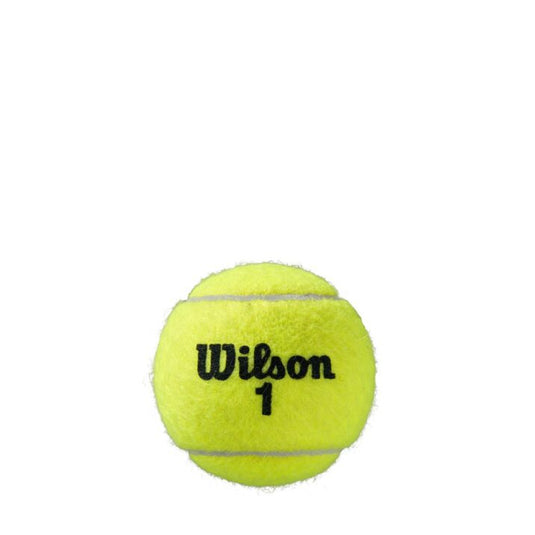 Wilson Roland Garros All Court – doos 18 kokers met 4 ballen