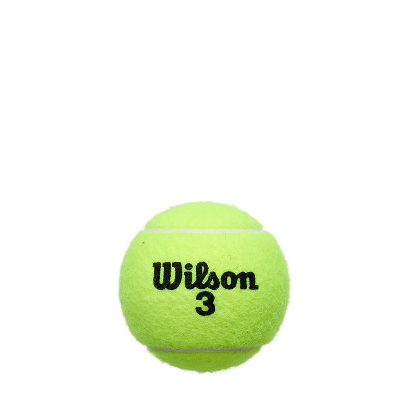 Load image into Gallery viewer, Wilson Roland Garros All Court 4T tennisballen – officiële productfoto
