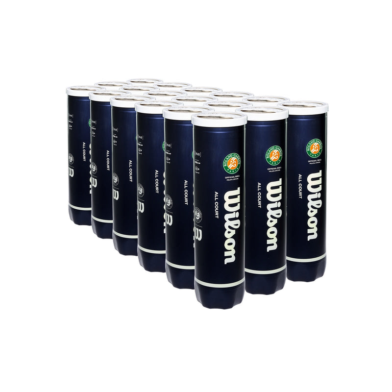Load image into Gallery viewer, Wilson Roland Garros All Court 4T – vier tennisballen
